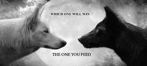 The 2 Wolves Within