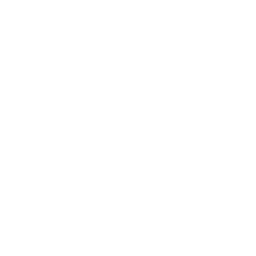 Blackthorn Trading Post